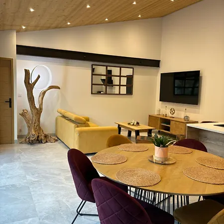 Villa'nduzienne Villa