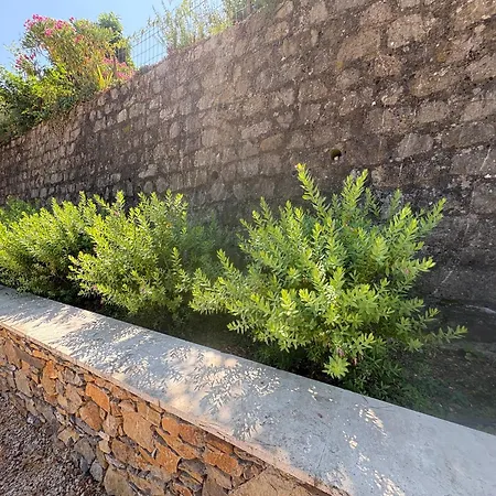 Villa'nduzienne Willa *
